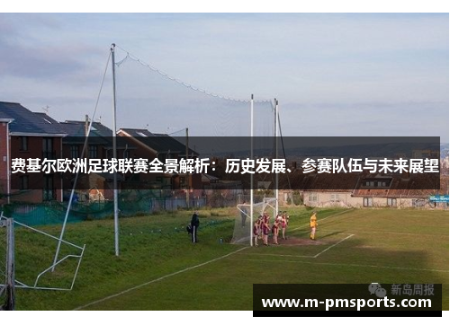 费基尔欧洲足球联赛全景解析：历史发展、参赛队伍与未来展望