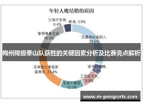 梅州降级泰山队获胜的关键因素分析及比赛亮点解析