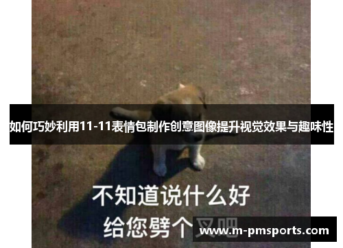 如何巧妙利用11-11表情包制作创意图像提升视觉效果与趣味性