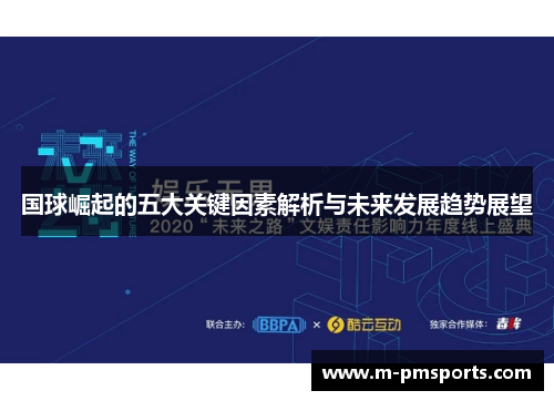国球崛起的五大关键因素解析与未来发展趋势展望