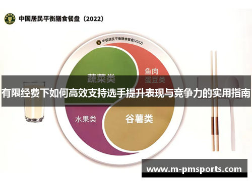 有限经费下如何高效支持选手提升表现与竞争力的实用指南