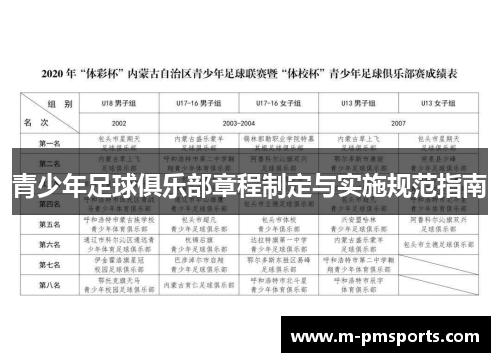 青少年足球俱乐部章程制定与实施规范指南